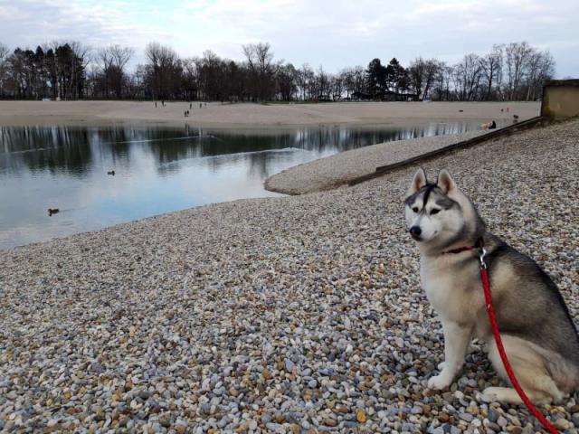 hera jarun 3 god.jpg